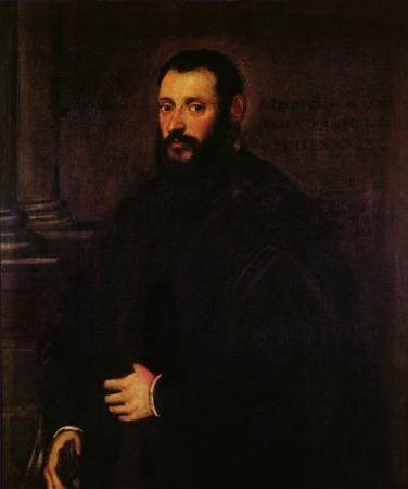 Jacopo Tintoretto Portrait of Nicolaus Padavinus oil painting picture